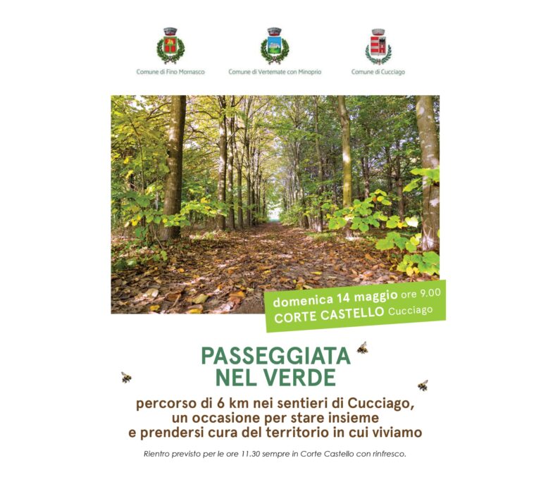 Scopri di più sull'articolo Passeggiata nel verde